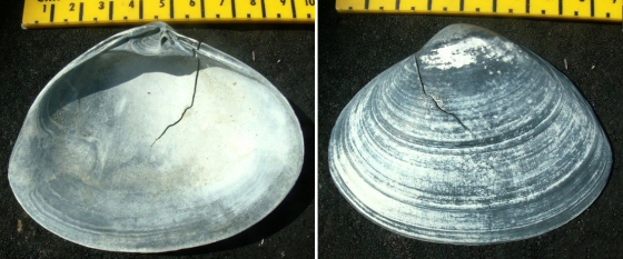 © Thijs de Boer © Thijs de Boer